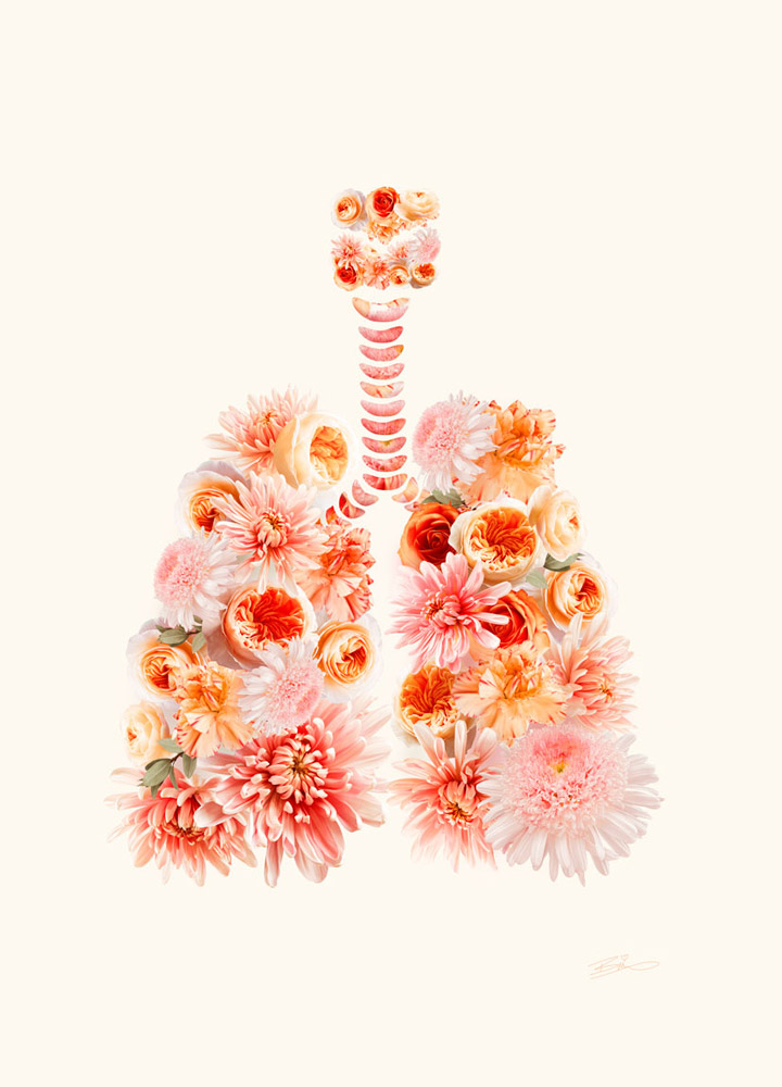 lungs with flower