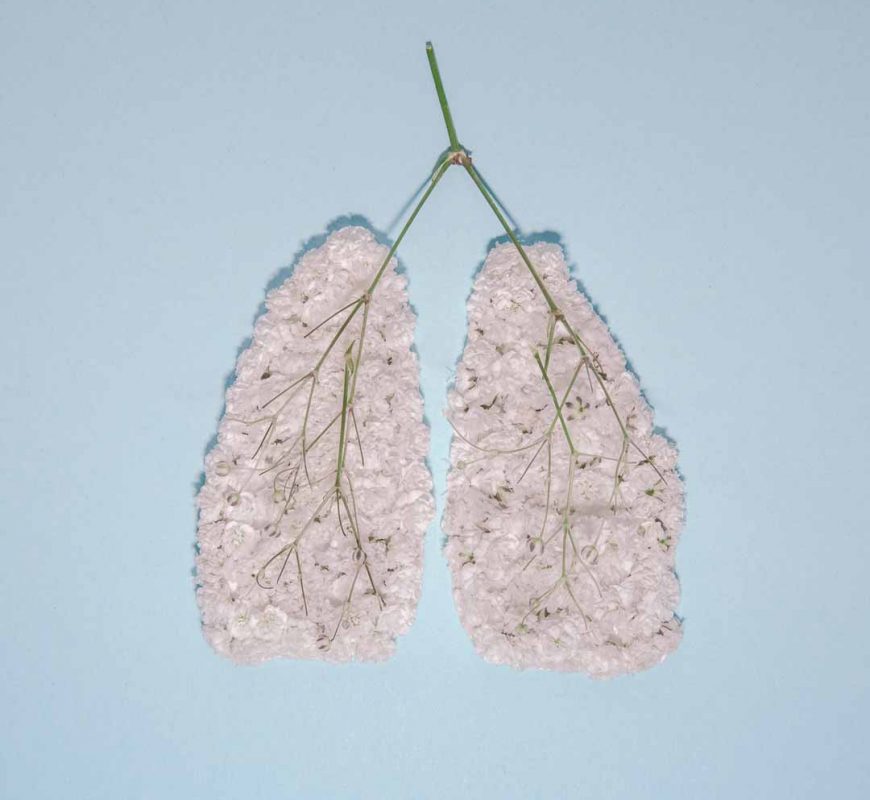 Lungs made of flower