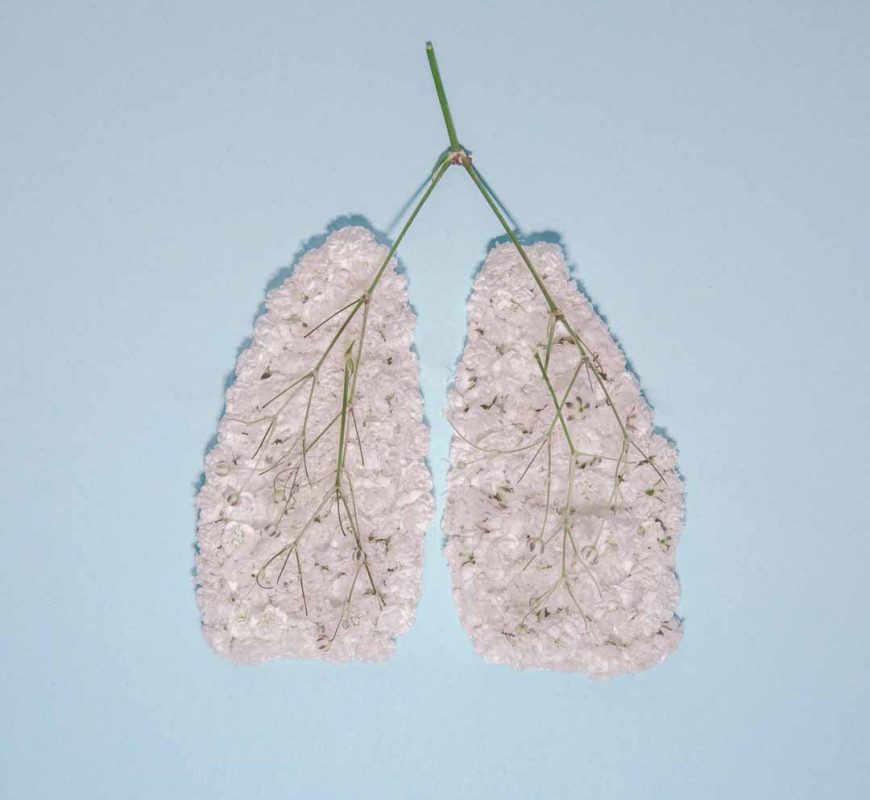 Lungs made of flower
